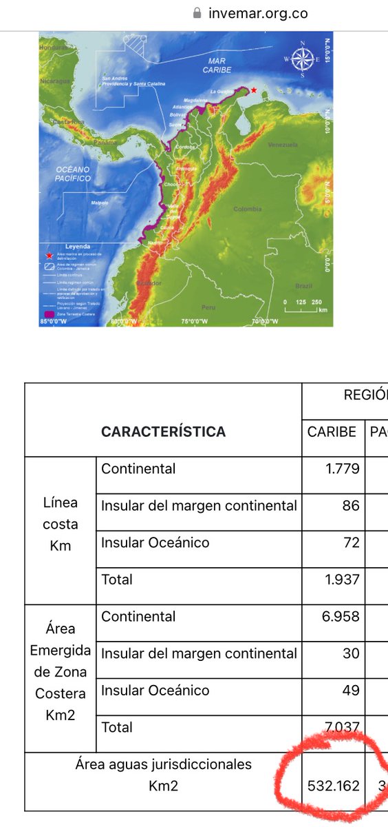 CAROGOPRI tweet media