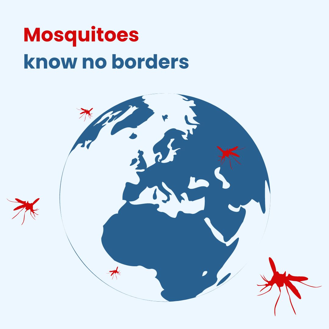 🌍🦟#Mosquitoes know no borders 
As global travel &amp; trade increase, so does the risk of spreading mosquito-borne diseases. With its network, MediLabSecure highlights the role of cross-border cooperation &amp; surveillance to keep these diseases in check 
👉bit.ly/3SUbMxf