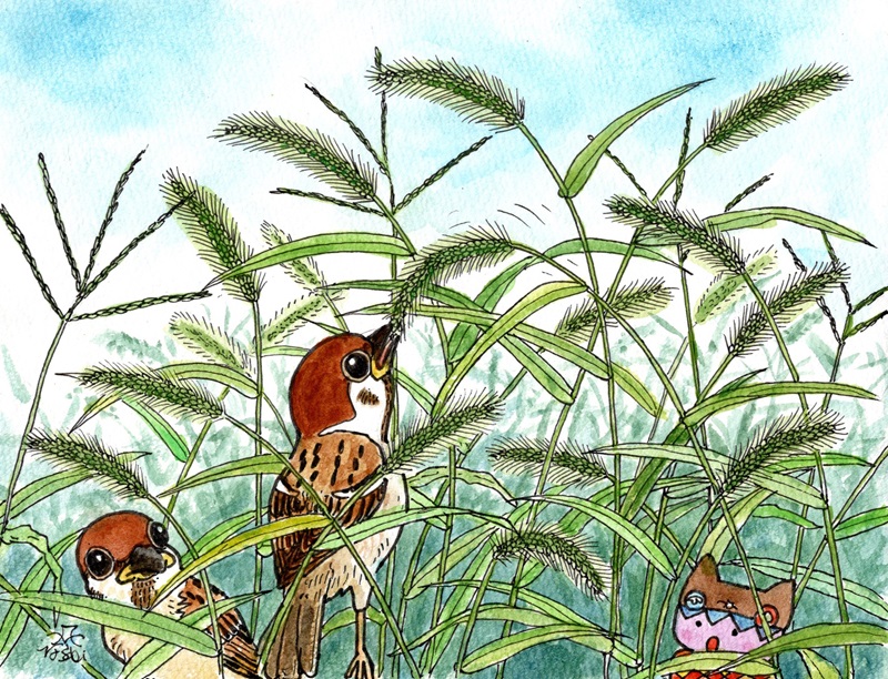 「エノコログサがカワイイ 」|富士鷹なすびのイラスト