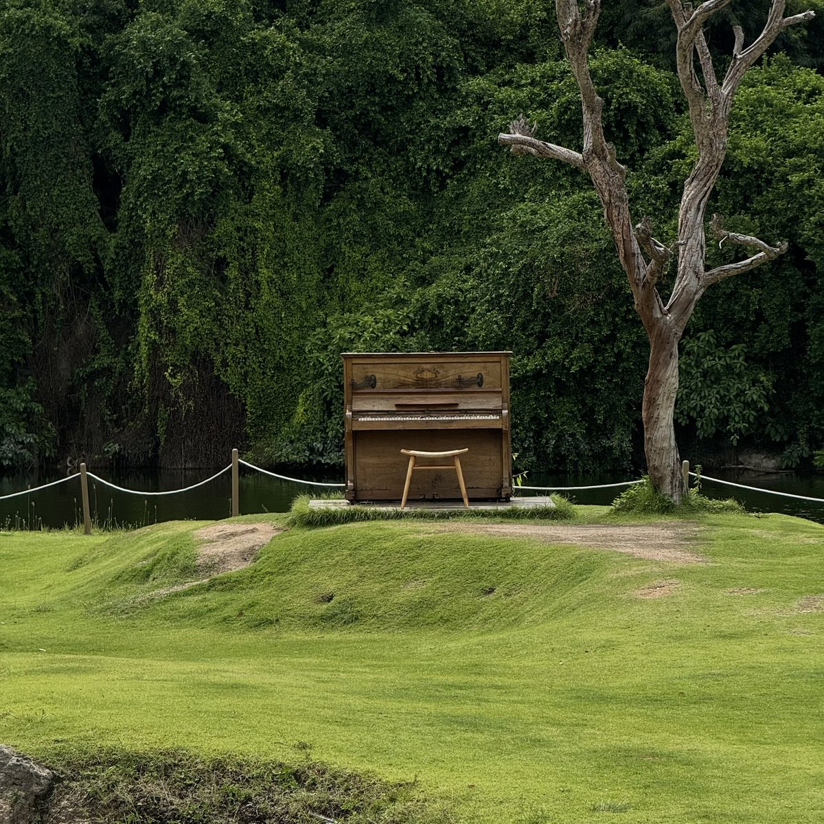 sfkkfs_'s tweet photo. คาเฟ่ที่ชลบุรี แต่ให้ฟิลอยู่เขาใหญ่ ธรรมชาติสวยมากกก แต่ตอนกลางวันจะร้อน แนะนำไปช่วงบ่ายๆเย็นๆ Serene House Cafe 🍃🌳 https://t.co/ZKuMC849aI