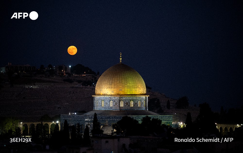 Stephanie Youssef tweet media