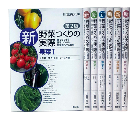 新野菜つくりの実際