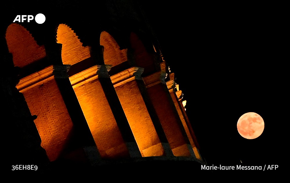 Stephanie Youssef tweet media