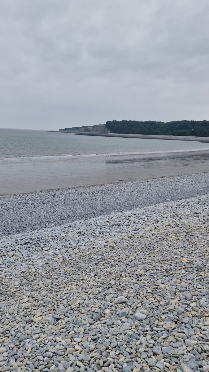 So many shades of grey. In nature and in life.
#NatureTherapy