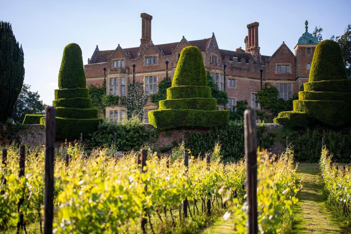 Simpsons Wine Estate tweet media