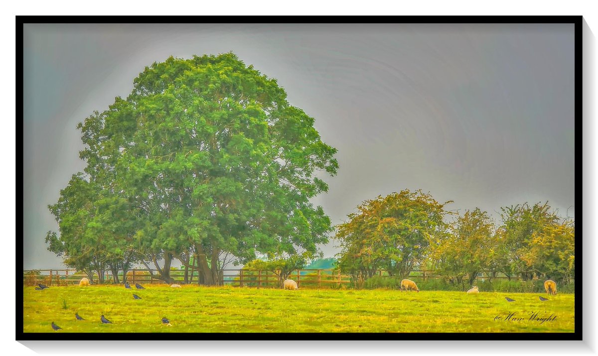 <a href="/Britnatureguide/">The British Nature Guide</a> <a href="/TheParksTrust/">The Parks Trust</a> <a href="/MK_Gallery/">MK Gallery</a> @artsgatewaymk <a href="/MiltonKeynes_MK/">Milton Keynes City</a> <a href="/mkfuturenow/">Milton Keynes Future</a> #photo #Photo_Folio #photographychallenge #PhotoModeMonday #photooftheday