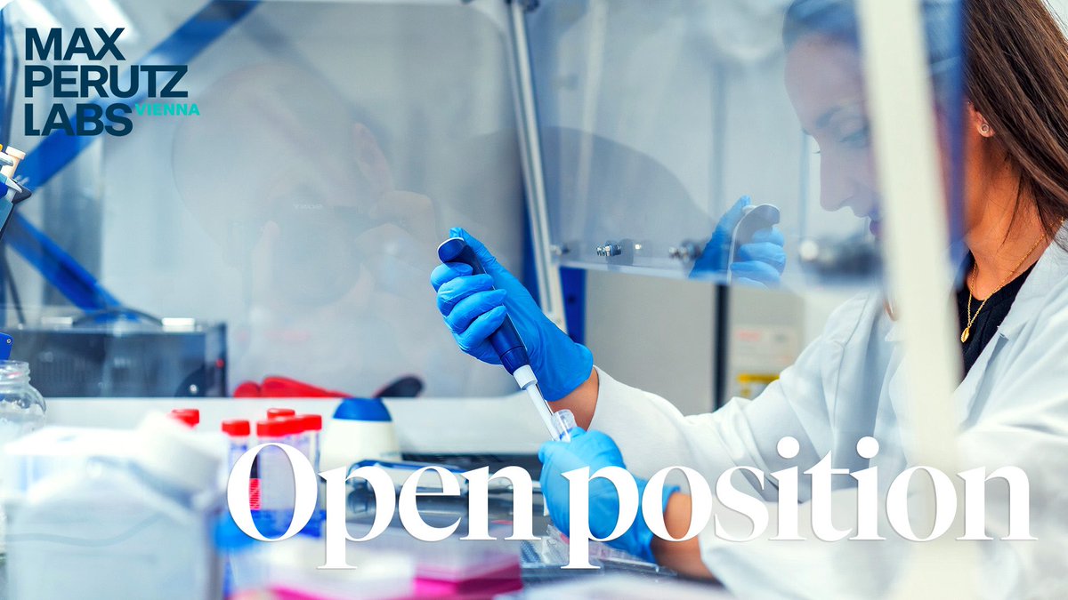 Max Perutz Labs Vienna (@maxperutzlabs) on Twitter photo 👀 Looking for a new #sciencejob? The lab of <a href="/JonasRies/">Jonas Ries</a> is seeking a lab manager/technical assistant to support their biological projects and help with day-to-day lab organization 🔬 Apply here ➡️ tinyurl.com/bd3j53ah 👀 Looking for a new #sciencejob? The lab of <a href="/JonasRies/">Jonas Ries</a> is seeking a lab manager/technical assistant to support their biological projects and help with day-to-day lab organization 🔬 Apply here ➡️ tinyurl.com/bd3j53ah