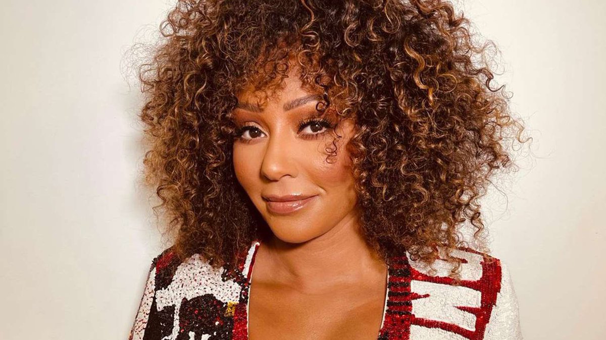 Mel B says her dream job would be informing people arriving at Taylor Swift gigs that the tickets they bought are fake and they can’t come in