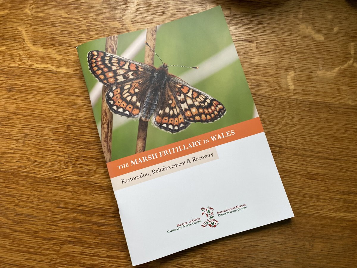 📢Hot off the press📢
Our Marsh Fritillary guide book is now out. Learn all about our experiences of reinforcing / reintroducing a Marsh Fritillary population in South Wales.
Hard Copy available to buy at: natureconservation.wales/shop-3/

PDF available at: natureconservation.wales/projects/