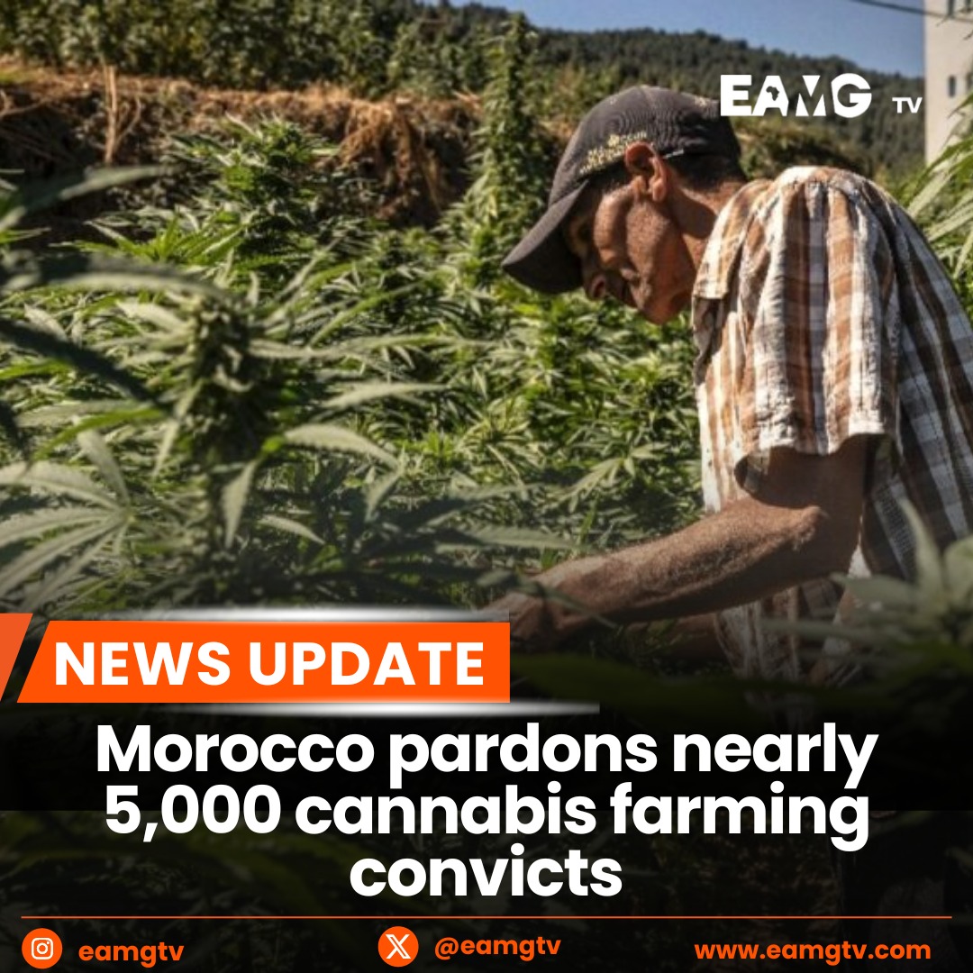 EAMGtv's tweet photo. Morocco's King Mohammed VI has pardoned nearly 5,000 people convicted or wanted for illegal cannabis cultivation. Although Morocco permits cannabis cultivation for medicinal and industrial use since 2021, recreational use remains prohibited.  #EAMGtv #Morocco https://t.co/4HG26rZJVz