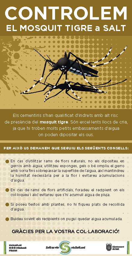 Salt Salut tweet media