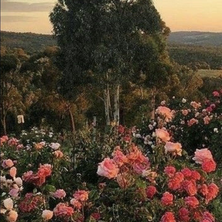 artindetails's tweet photo. — a peaceful home to live https://t.co/jvviOOdq39