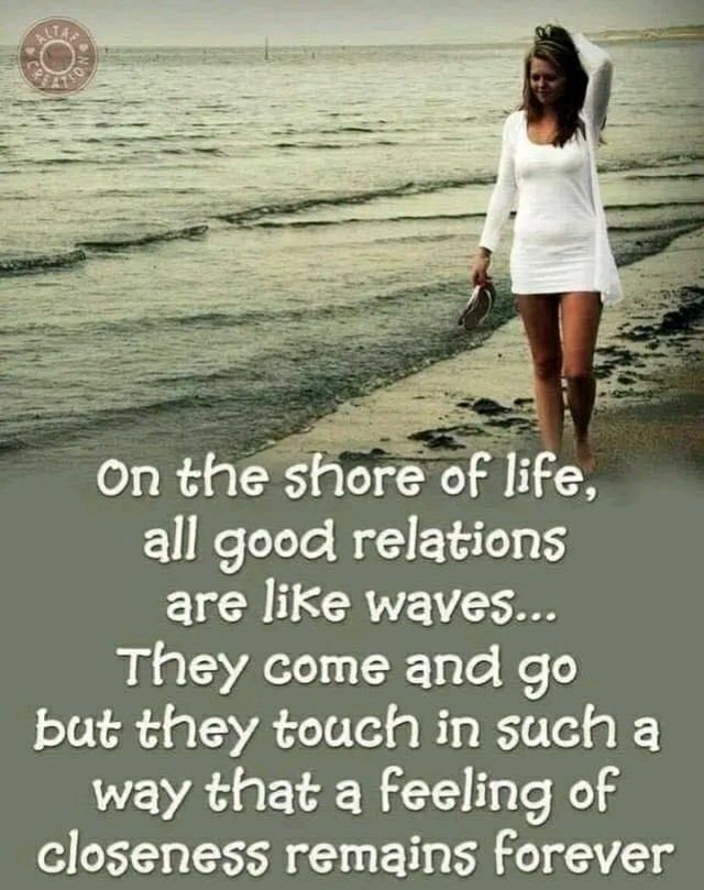 RupaliKidecha's tweet photo. On the shore of life, all good relations are like waves... They come and go but they touch in such a way that a feeling of closeness remains forever
#goodrelation #love https://t.co/HSgvrWIWFD