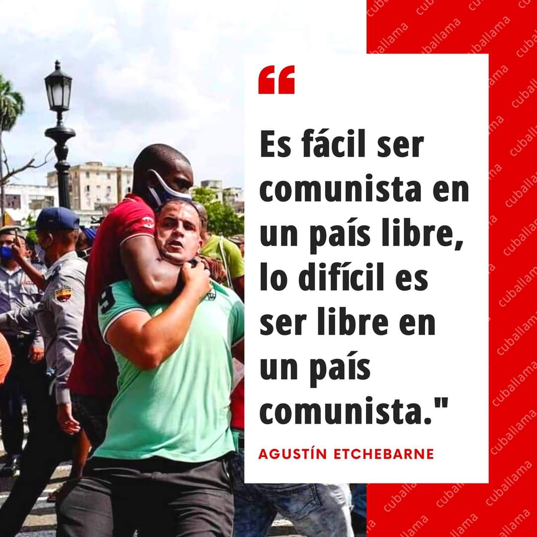 NoVive_Socialis's tweet photo. Basado https://t.co/daUvC5VAa2