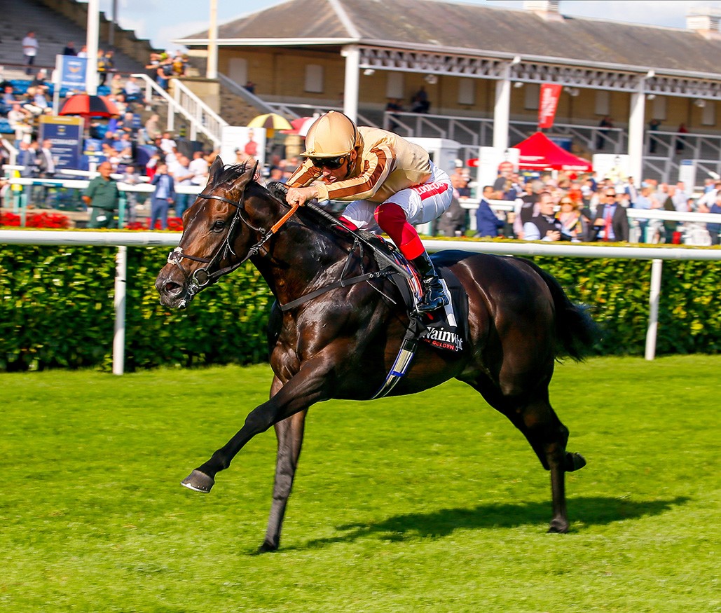 Newsells Park Stud (@newsellspark) on Twitter photo 14 first yearlings by Triple G2 winning 2yo 🟡⚫️🚀A’ALI have lift off <a href="/GoffsUK/">Goffs UK</a> #GoffsPremier
Consigned by <a href="/newsellspark/">Newsells Park Stud</a> @analytic_stables_ <a href="/sarahkilby1/">Sarah Fanning</a> <a href="/LynnLodgeStud/">Lynn Lodge Stud</a> <a href="/jamierailton/">Jamie Railton Sales Agency</a> @plantationstud @BarodaStudIRE <a href="/Houghtonhorses/">Houghtonbloodstock</a> <a href="/Aughamorestud/">Aughamore Stud</a> etc
#AALI #FirstYearlings #Rocket 14 first yearlings by Triple G2 winning 2yo 🟡⚫️🚀A’ALI have lift off <a href="/GoffsUK/">Goffs UK</a> #GoffsPremier
Consigned by <a href="/newsellspark/">Newsells Park Stud</a> @analytic_stables_ <a href="/sarahkilby1/">Sarah Fanning</a> <a href="/LynnLodgeStud/">Lynn Lodge Stud</a> <a href="/jamierailton/">Jamie Railton Sales Agency</a> @plantationstud @BarodaStudIRE <a href="/Houghtonhorses/">Houghtonbloodstock</a> <a href="/Aughamorestud/">Aughamore Stud</a> etc
#AALI #FirstYearlings #Rocket