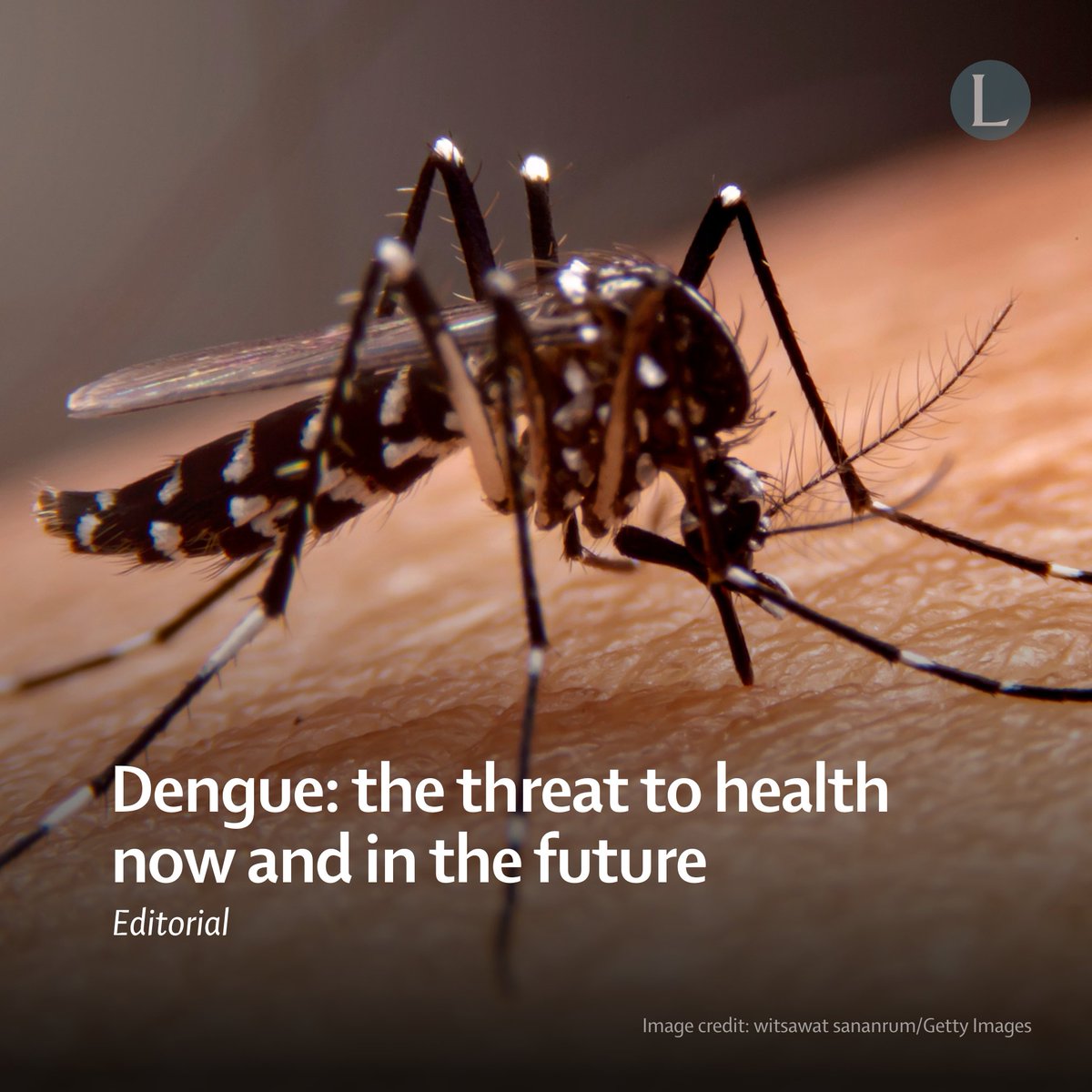 2024 is the worst year for dengue cases on record, with over 10 million cases already reported globally.

A Lancet Editorial highlights the need for a multipronged and multidisciplinary approach to halt the spread of dengue virus: hubs.li/Q02KWk100