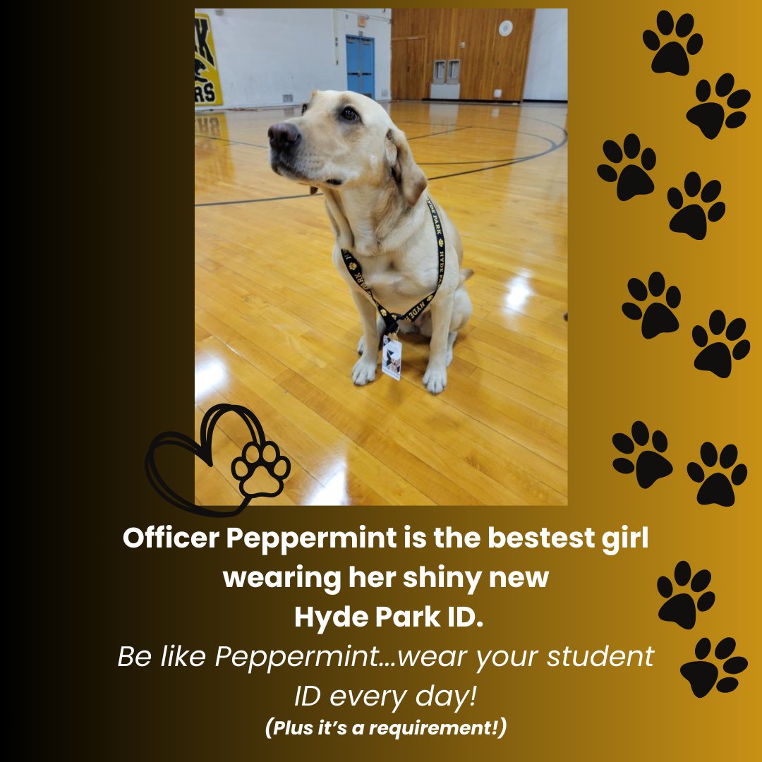 It's Picture Day at Hyde Park. <a href="/CCSDPD/">CCSDPD</a> all K9 Officers can get a Staff Photo. #belikePeppermint