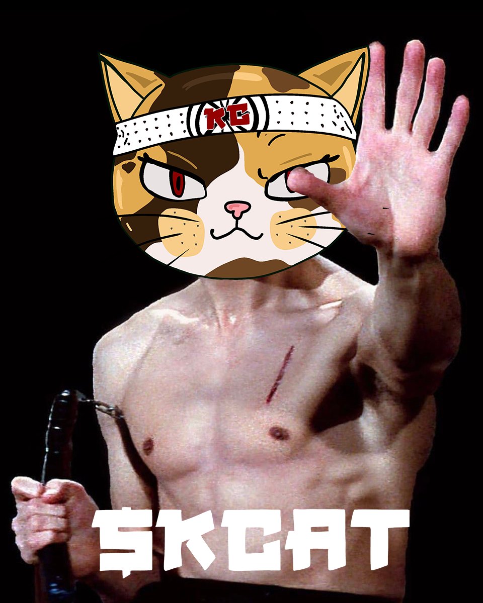 karate cat tweet media