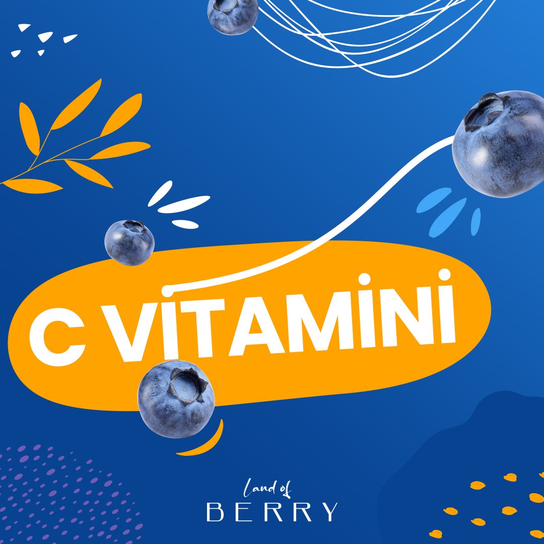 LANDOFBERRYBYS1's tweet photo. Blueberryde bol miktarda bulunan c vitamininin faydaları.

#blueberry #merryberry #sağlık #cvitamini https://t.co/mkk1Kr3YTX