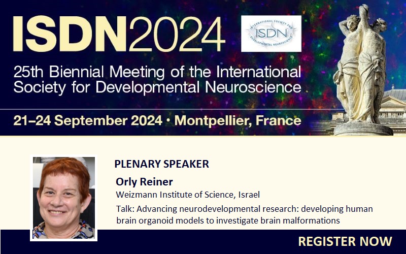 ISDN 2024 Conference (@isdnconference) on Twitter photo Hear from plenary speaker Orly Reiner <a href="/reiner_lab/">Orly Reiner's Lab</a> on developing human brain organoid models to investigate brain malformations at #ISDN2024. More than 40 expert speakers line-up for a fantastic programme. Register now at bit.ly/ISDN2024 #developmentalneuroscience Hear from plenary speaker Orly Reiner <a href="/reiner_lab/">Orly Reiner's Lab</a> on developing human brain organoid models to investigate brain malformations at #ISDN2024. More than 40 expert speakers line-up for a fantastic programme. Register now at bit.ly/ISDN2024 #developmentalneuroscience