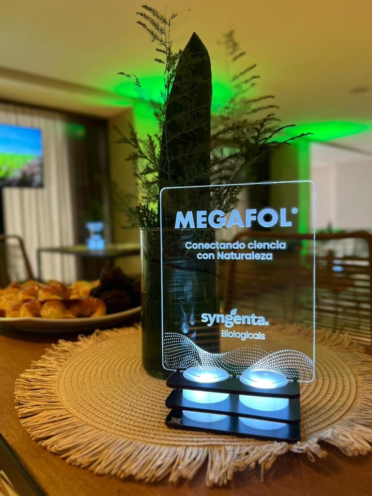 Luz Mosso Bancalari tweet media