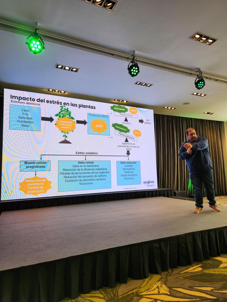 Luz Mosso Bancalari tweet media