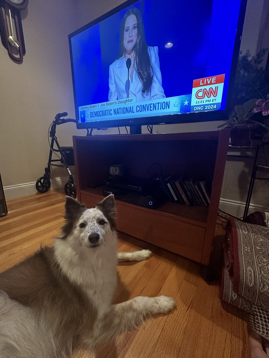Dad said no more TV for the night, but I had to check out the DNC