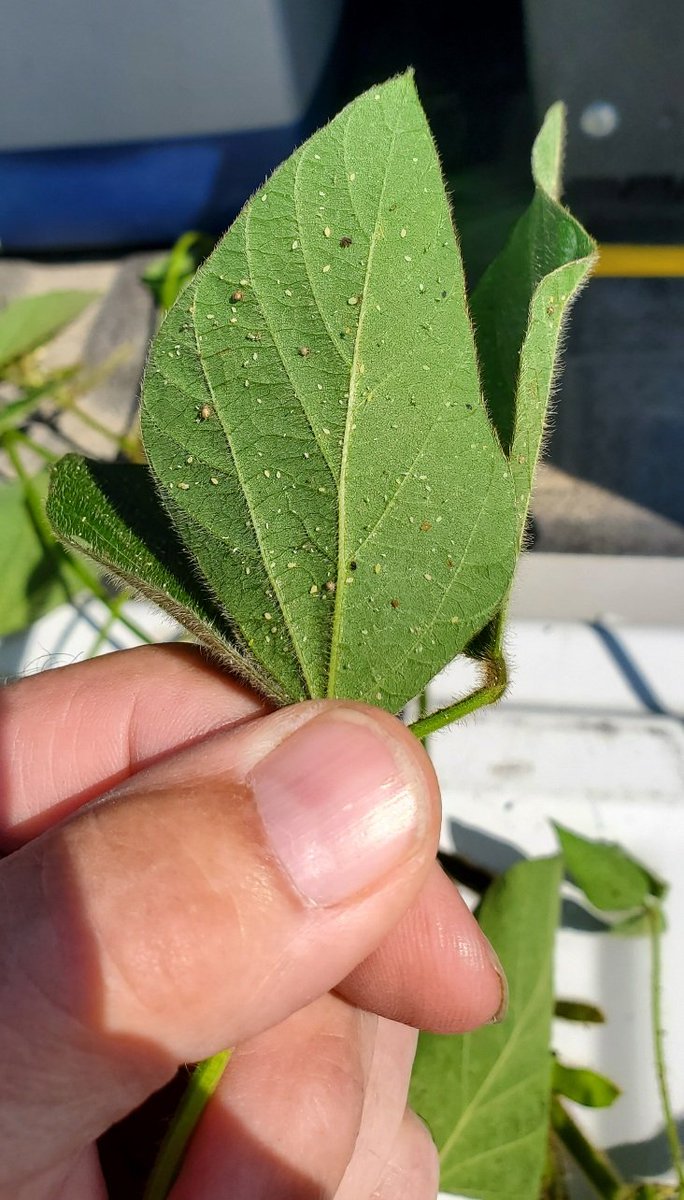 Mark Bernard tweet media