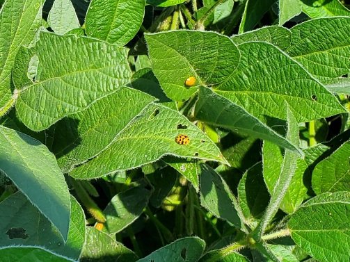 Mark Bernard tweet media