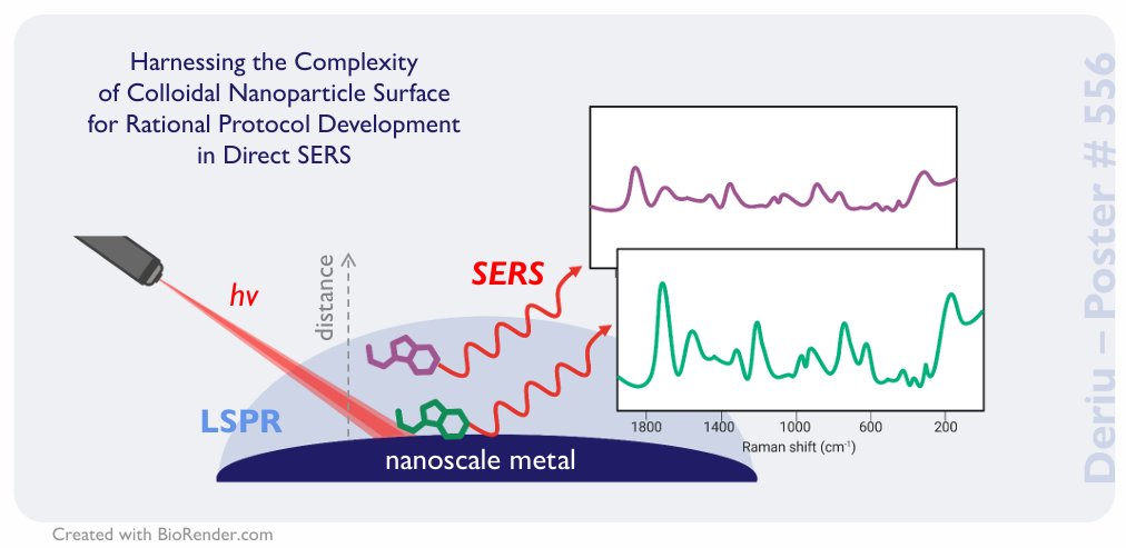 I'm sure all #SERS ppl have at least once thought "nothing works" or they've been told SERS "doesn't work". My ultimate research aim is getting rid of these unpleasant experiences! Let's talk at #ACSFall2024, #poster 556, 12 to 2 pm today #CASFutureLeaders