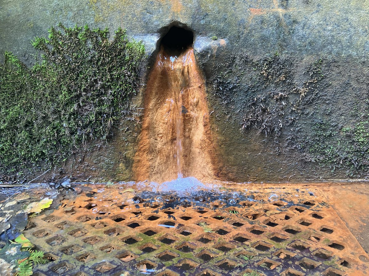 Chalybeate Spring, Alexander Park, Hastings. For <a href="/edge_nina/">@nothingwelshstreets</a>
