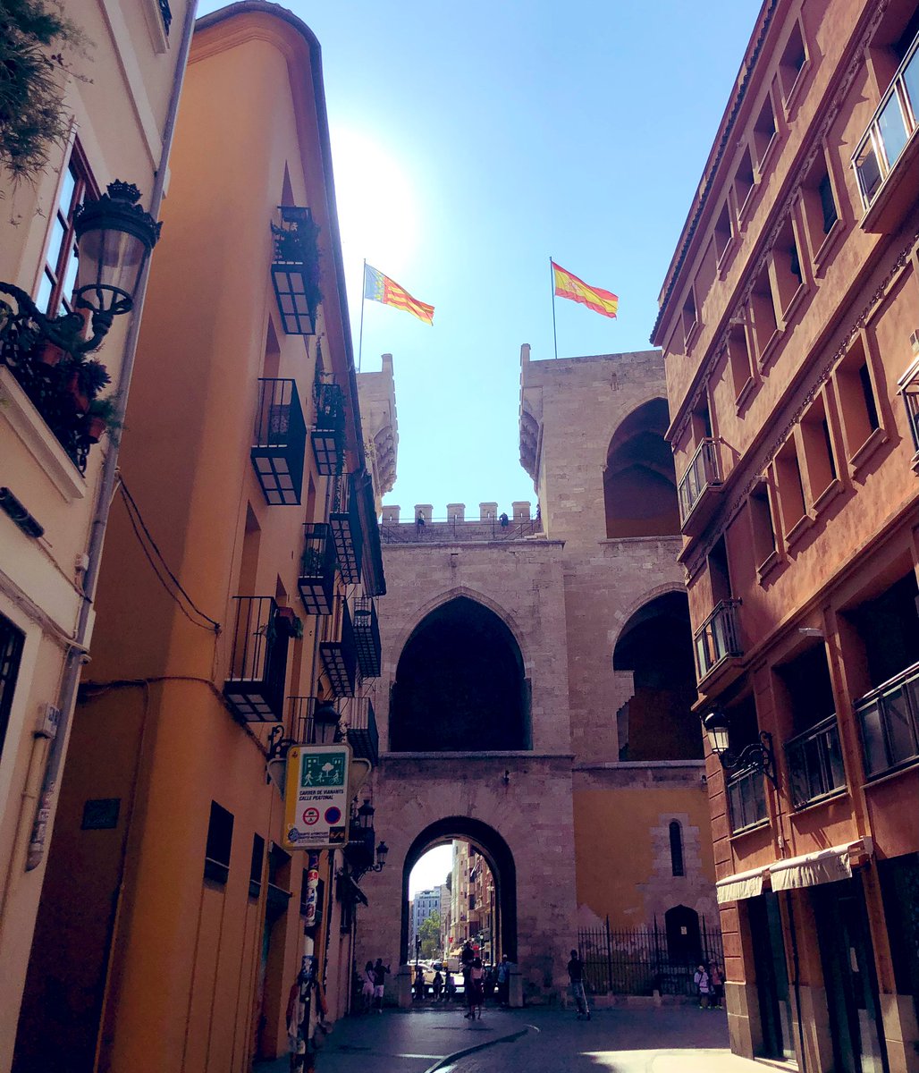 Rosienlaorilla's tweet photo. Estas son mis banderas…❤️‼️
Ninguna más!🛑🇪🇺🛑
Vixca València i Vixca Espanya!!!
❤️🇪🇸🫂
#NoALaUE
#VivaEspaña
#VixcaValència
#Valencia
#España
#SanchezDimision
#SiTeQuedaAlgoDeDignidadDimitePerro
#SanchezTraidor
#NoTeQueremos
❤️🇪🇸 https://t.co/oSMgwQlOnK