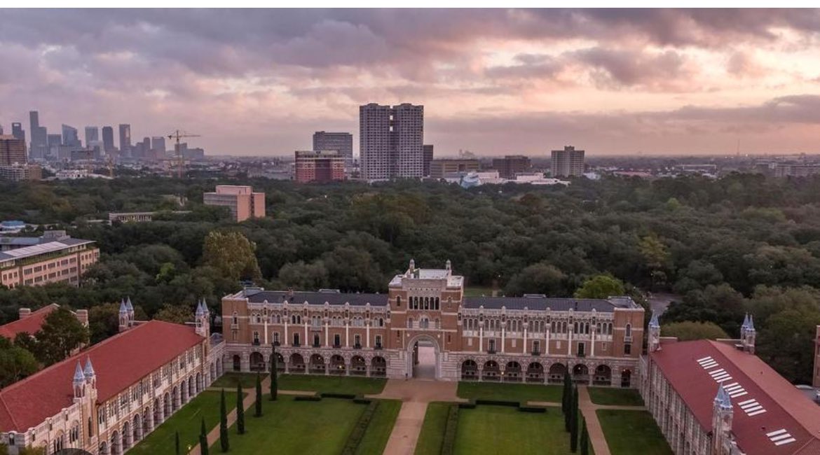 Laura lavery tweet media