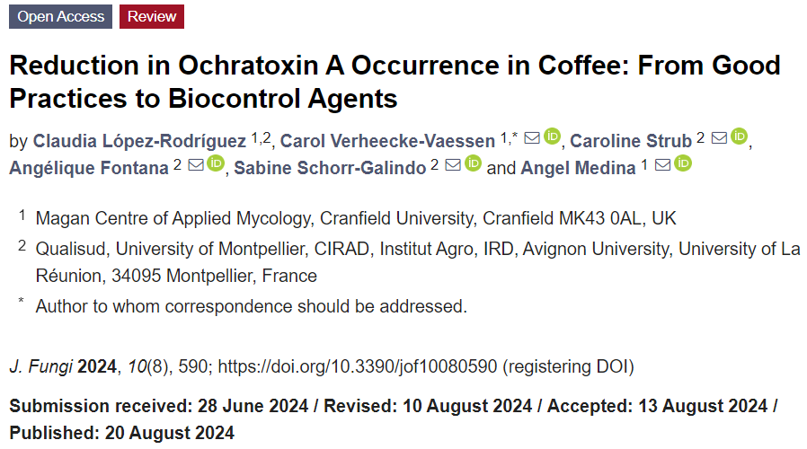 CranMycology's tweet photo. Check out our🆕 review paper by
@Lopez_science on the reduction of #ochratoxin A in #coffee. Read the full paper here:
 JoF | Free Full-Text | Reduction in Ochratoxin A Occurrence in Coffee: From Good Practices to Biocontrol Agents (https://t.co/NHUhkbYpX2)
@CaVaessenVe @qualisud https://t.co/Mn5pA1fL3J