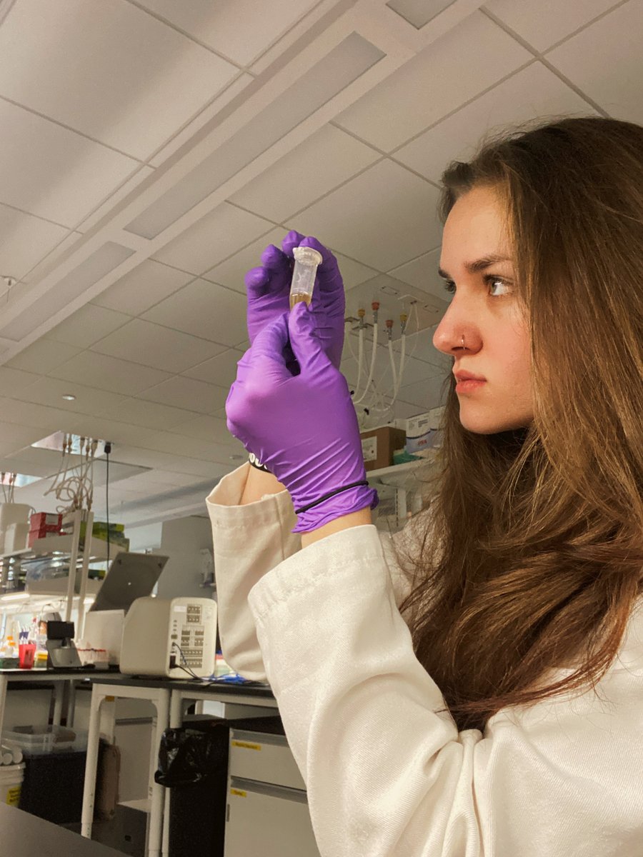 cornellBCI's tweet photo. Last week, Alex Marcoux '27 finished her pharmacological research internship at the University of Iowa. She's still working on finalizing her paper for publication.

https://t.co/7lMHYir5gB https://t.co/7bGRYiZwpu