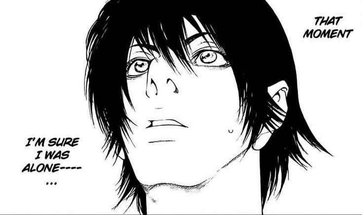 shinigamiXBT tweet media