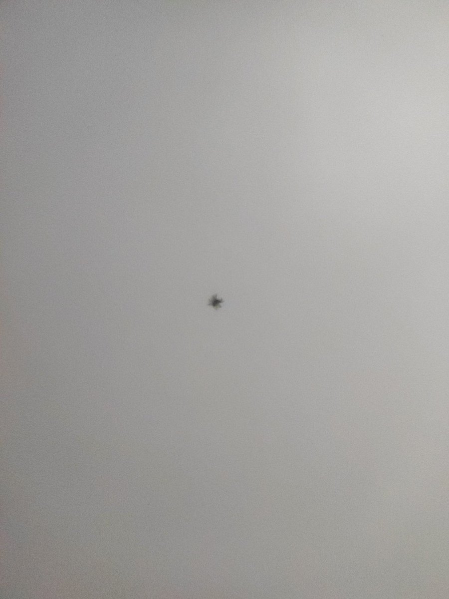 Reginal44086651's tweet photo. Quem quer virar o homem-aranha? https://t.co/XZDspuvrwZ