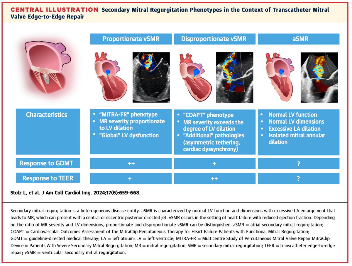 Secondary Mitral Regurgitation Phenotypes - #SMR is a heterogeneous disease entity and differentiation of SMR phenotypes ( atrial vs ventricular) is crucial to understand and choose the right treatment.  #echofirst #mitral #echocardio #COAPT #MITRAL-FR 

doi.org/10.1016/j.jcmg…