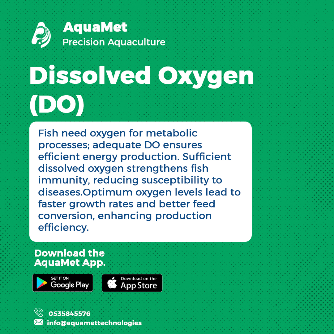 aquamet_tech's tweet photo. Low DO can lead to losing all your fishes in just a day.
Grab your water quality device to overcome this.
@zimagristories @WorldAquatics @FAOfish https://t.co/wLzM560Smj