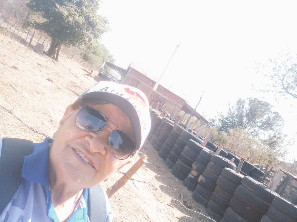 Maria Helena (@mariahe53890118) on Twitter photo 