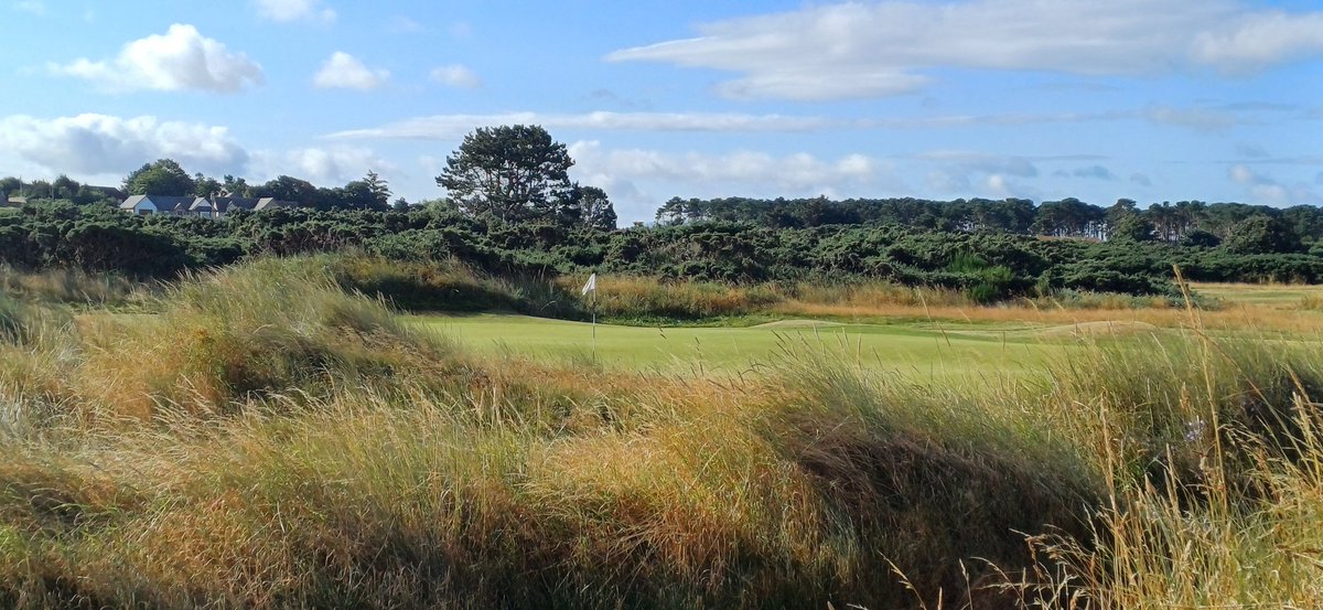 john_gkeeping💚 tweet media