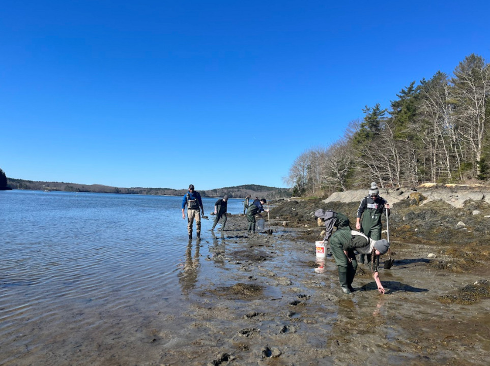 NewEngCollege's tweet photo. 🌊🔬 New England College #MarineBiology students dove into an extraordinary field experience at @UMaineDMC! 🐠🌿 They explored the wonders of three distinct marine habitats: the rocky intertidal zone, mudflats, and an estuary! 🔍🌊 #LiveWhatYouLearn https://t.co/6sLNxxQVip