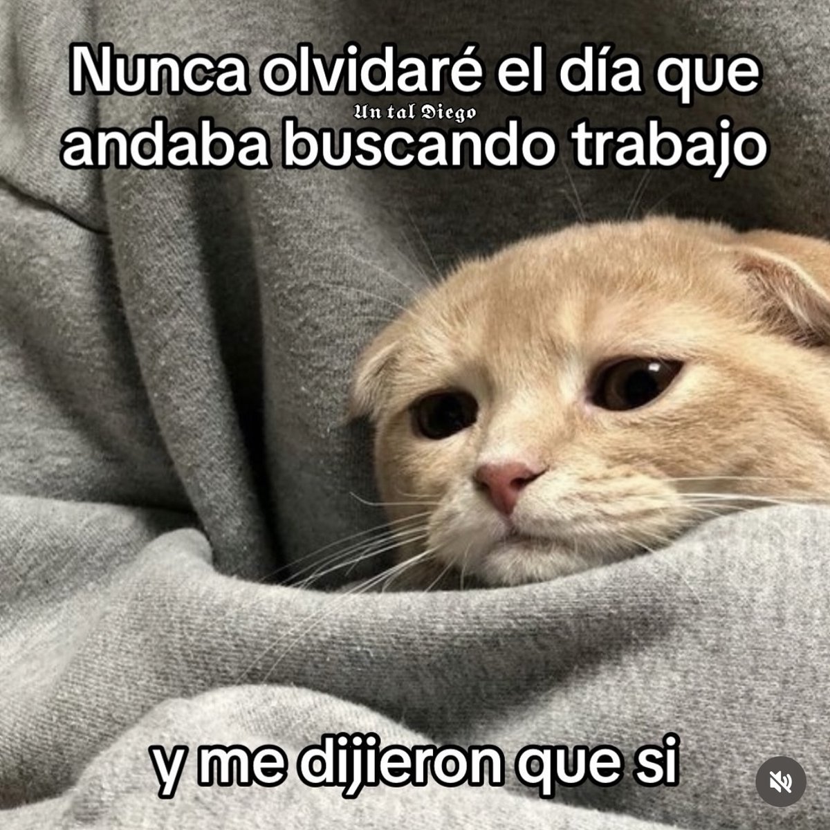 Guarromantico_'s tweet photo. Nunca olvidaré. https://t.co/AZZXzeRc2R