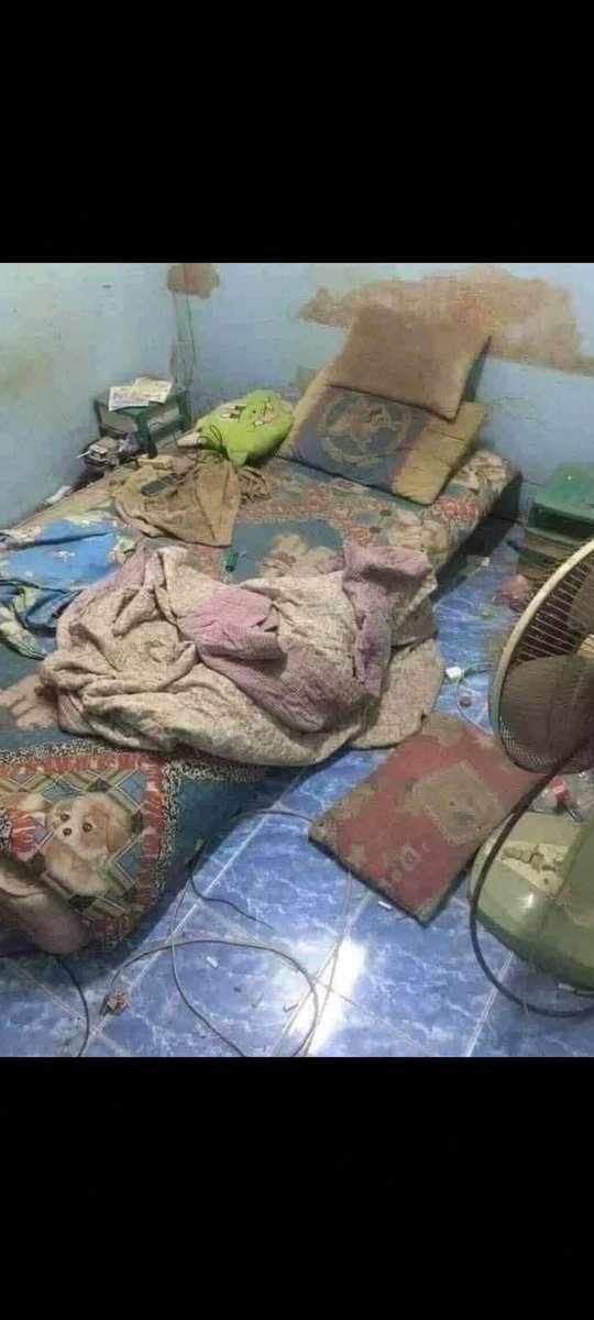 fakirimevet's tweet photo. yazın herhangi bi gün duş almayınca hissettiğim pislik seviyesi sakasiz https://t.co/LyMGXPynvR