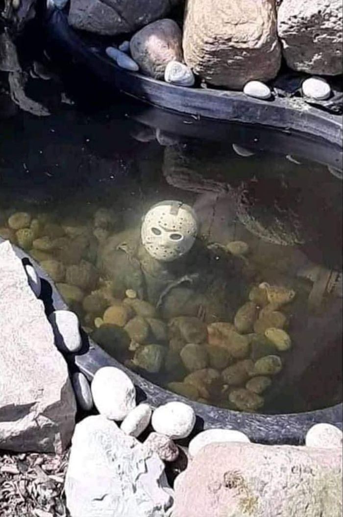 The best pond...EVER!!!