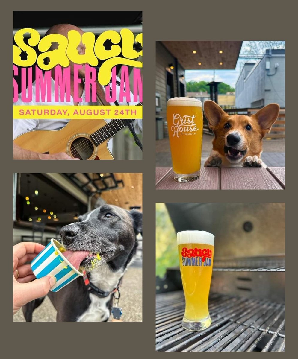 Salty Paws Pittsburgh tweet media
