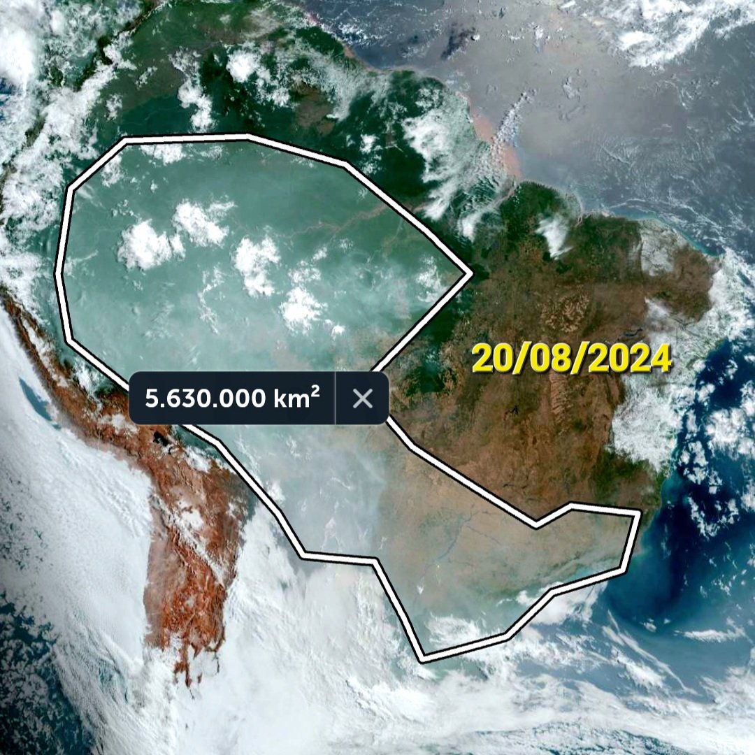 Olha só a extensão da fumaça de queimadas pertinente à Amazônia. Isso está avançando para todo o território brasileiro. E você sabe quais são as consequências disso na sua vida? Não, né?! Ok, vou explicar para vocês 👇

A inalação da fumaça de queimadas na Amazônia, especialmente