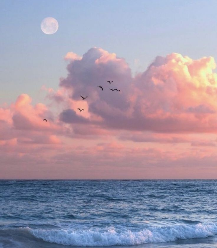 artindetails's tweet photo. — pink sunset https://t.co/vZssQSblQ4