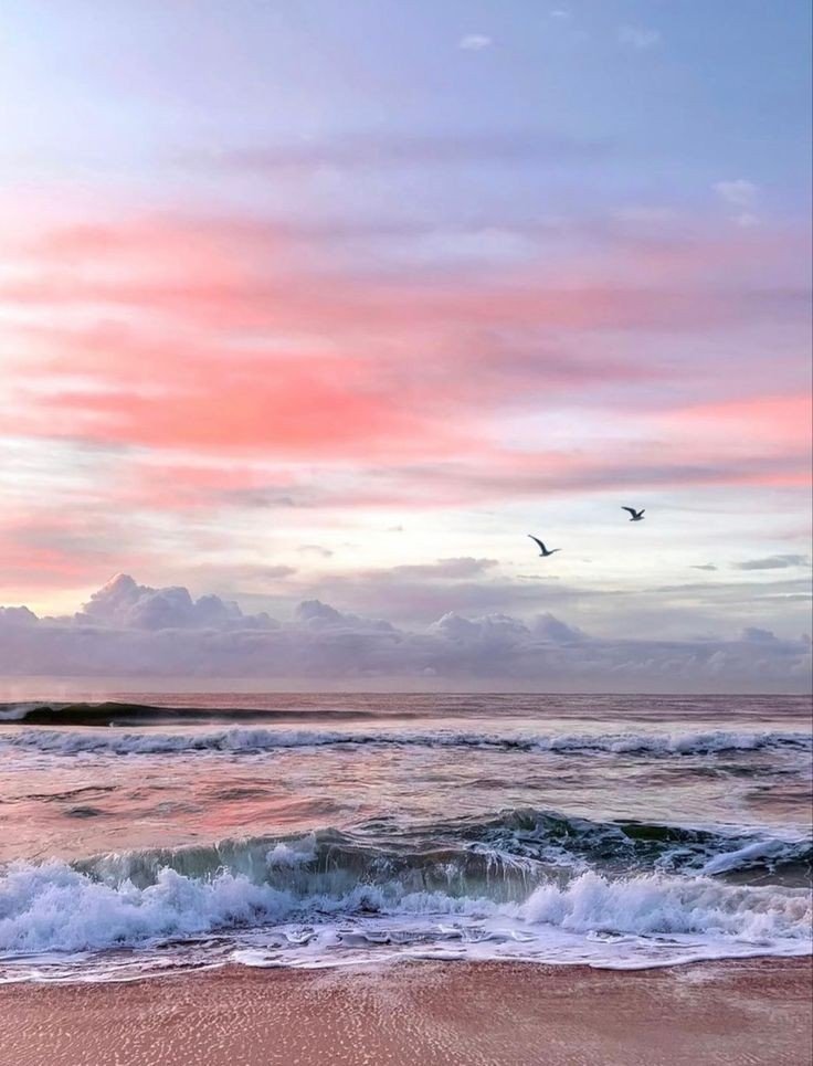 artindetails's tweet photo. — pink sunset https://t.co/vZssQSblQ4