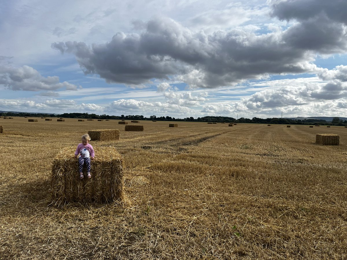 EmilyRankin16's tweet photo. @kerriegosneyTV  sunshine in Malton @itvweather https://t.co/JA1dnIBDOK